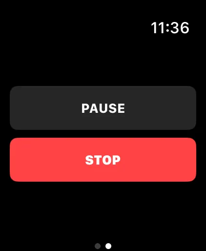 RC Sentinel Apple Watch pause and stop recording controls